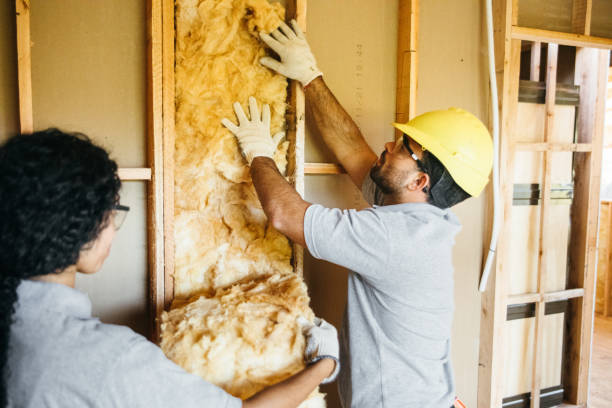 Best Blown-In Insulation  in Solana Beach, CA